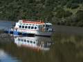 Paseos en barco